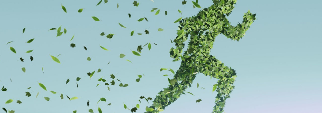 Onze Groene Ambitie
